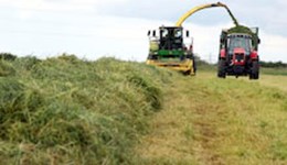 Preparing for multi-cut systems